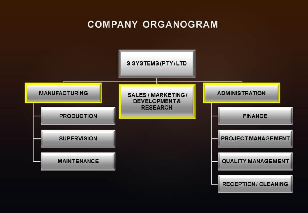S Systems workflow structure.